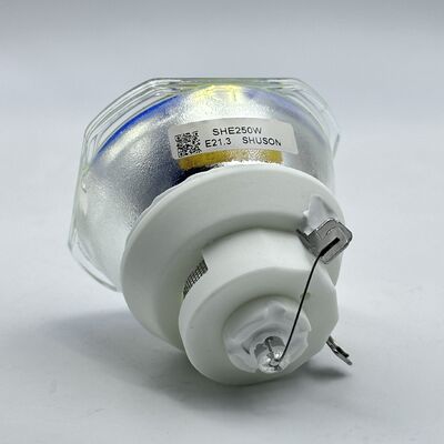 Shusen μάρκα λάμπες προβολέα συμβατές με Epson ELPLP85, ELPLP89 και ELPLP91 λάμπες προβολέα (SHE250W, E21.3)